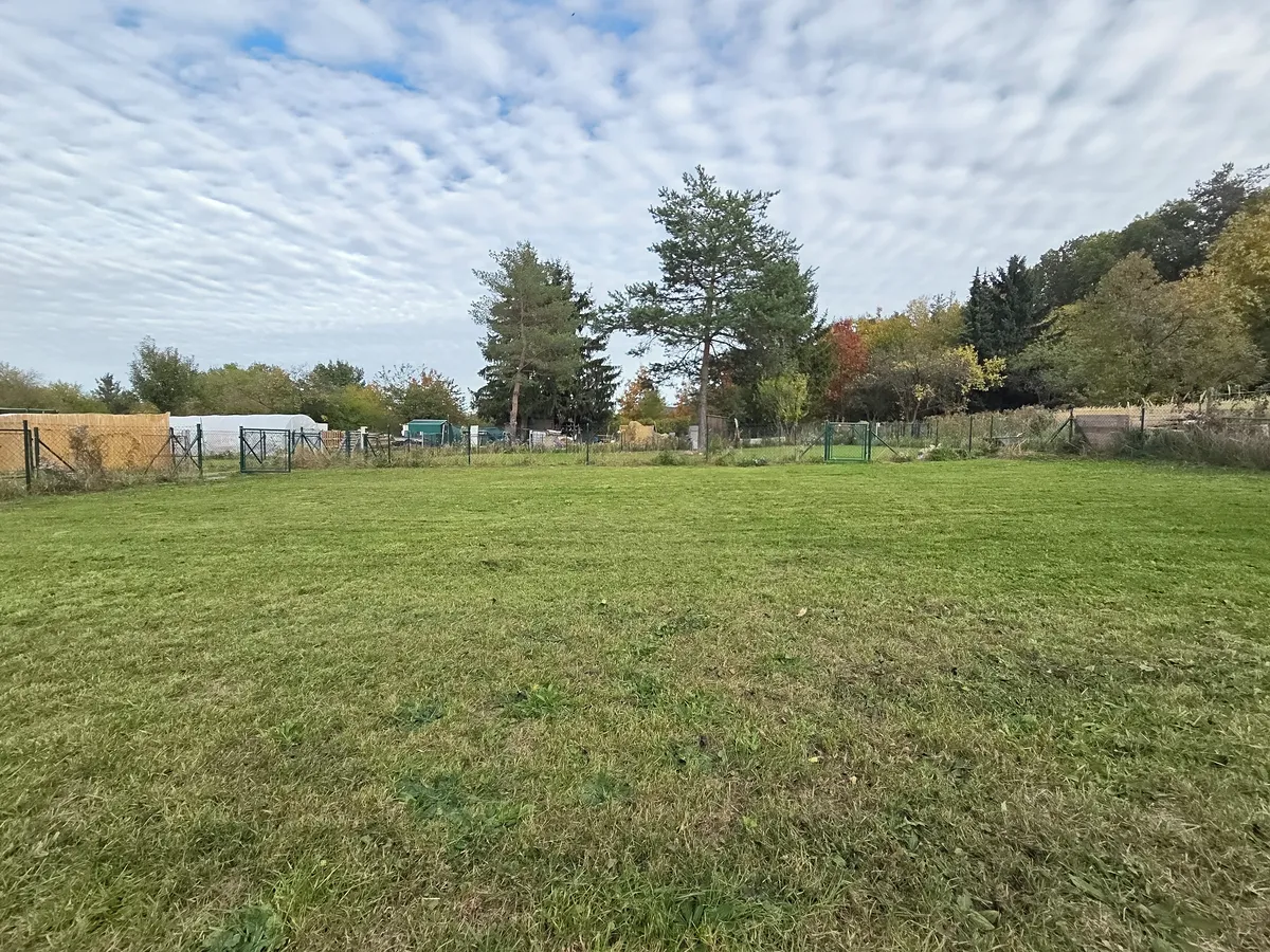 Fotka 12 z 19